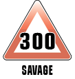 300 SAVAGE